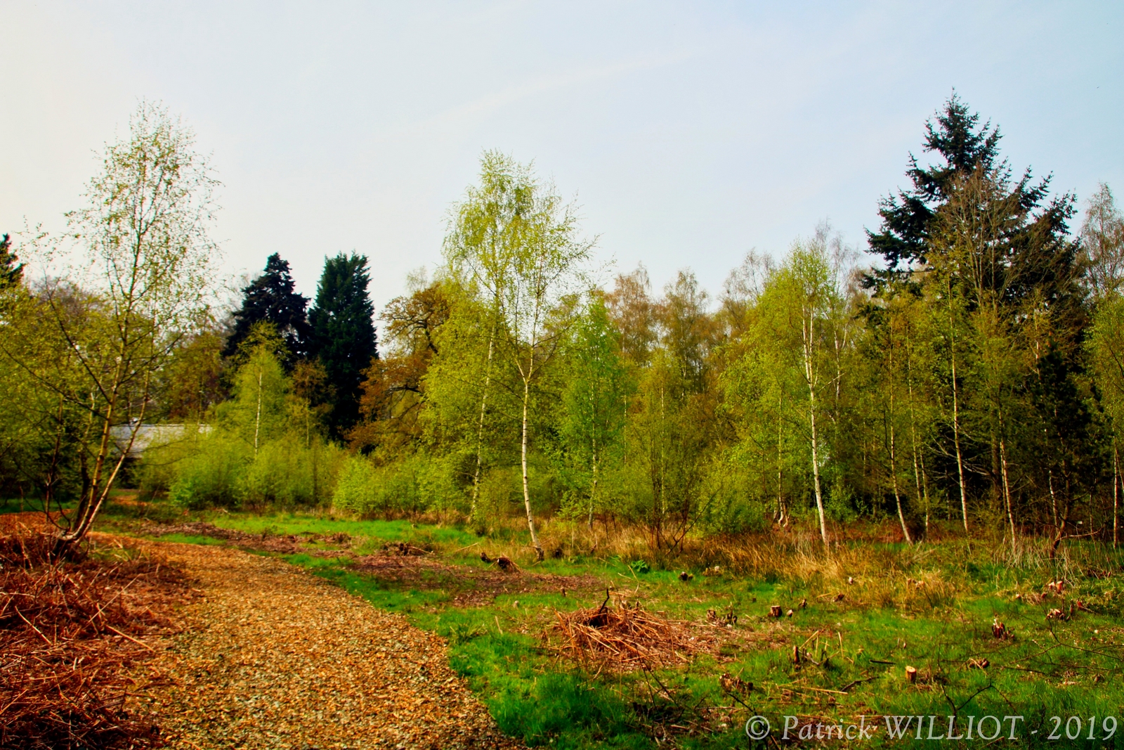 Harcourt Arboretum - Oxford University